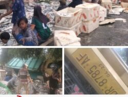 Truk Mini Bermuatan Ikan Alami Kecelakaan Tunggal Di Desa Nanga Tumpu