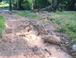 Infrastruktur Memprihatinkan! Jalan dan Jembatan di Buwunmas Sekotong Amburadul Puluhan Tahun   