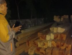 Ratusan Balok Kayu Diduga Hasil Penebangan Liar Di Amankan Petugas 