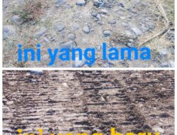 Kades Minim Informasi Pekerjaan Proyek Peningkatan Jalan Ekonomi Desa Marada Diduga Pokir DPRD Tertutup Untuk Publik
