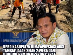 Anggota Dewan Apresiasi Aksi Tambal Jalan SMAN 2 Wera dan Dorong Pemda Respon Cepat, Siswa Jadi Guru Bagi Pejabat